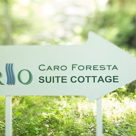 Caro Foresta Kita Karuizawa Rio Hotel Tsumagoi Exterior photo